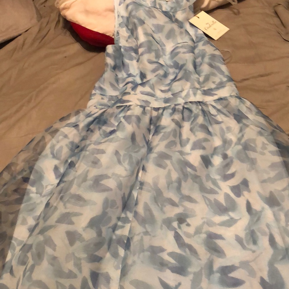Lauren Conrad Disney Cinderella Dress
